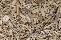 biomass boilers Kilnave